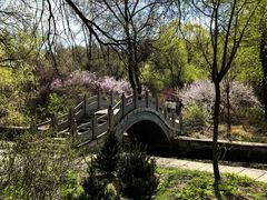 -黑龙江省森林植物园