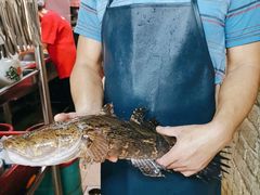 -小小饭店