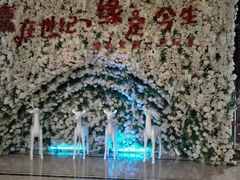 -世纪缘湖滨花园酒店(玄武湖店)