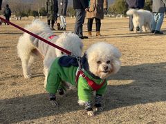 -钟山体育运动公园