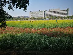 -光明小镇欢乐田园