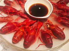 -红盔甲·小龙虾(天钥桥店)
