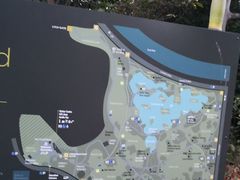 -墨尔本皇家植物园