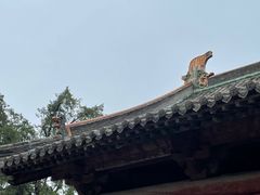 -飞云楼