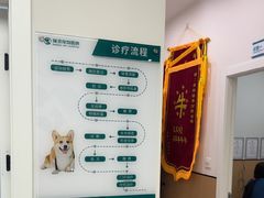-瑞派康怡24h宠物医院·犬猫医疗中心·微创绝育(瑞景分院)