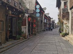 -野荸荠