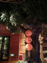 -奇幻丛林(佛罗伦萨小镇店)