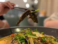 -饭怕鱼·黄焖鲟龙鱼(湖大店)