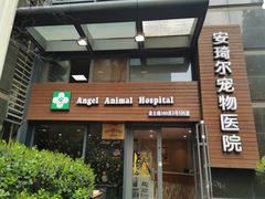 -爱侣·安琦尔宠物医院·中兽医针灸·心内科·狂犬免疫点(宝山区院)