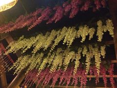 -滇池印象原生态火锅(南开大悦城店)