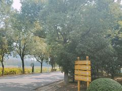 -艾溪湖湿地公园