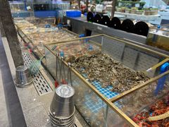 -半岛听涛蒸汽海鲜自助(K11店)