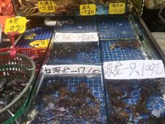 -厦门轮渡码头