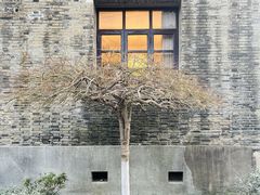 -青果巷历史文化街区