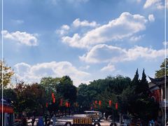 -溪口-滕头旅游景区