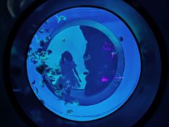 -南昌融创海世界