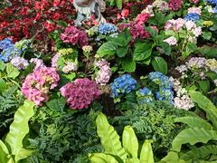 -石家庄市植物园
