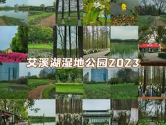 -艾溪湖湿地公园