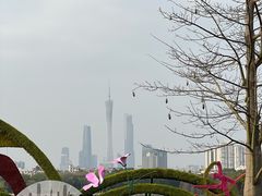 -海珠湖公园