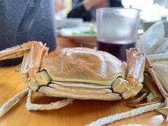 -小陆莲花蟹园农家乐(莲花岛店)