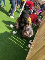 -萌宠亲子动物乐园(槐房万达店)