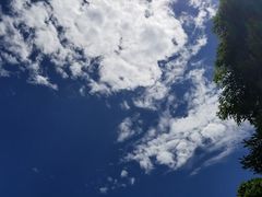-虹口漂流