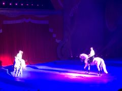 -珠海横琴长隆《卡卡虎奇遇记》