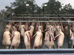 -粥旺庄(芳村店)