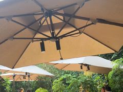 -品德宏·孔雀宴的发源地(金塔园店)