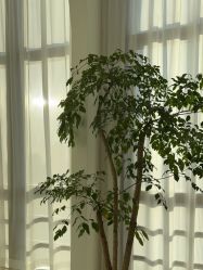 -JNK皮肤管理中心