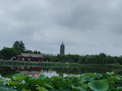 -西海子公园