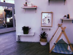 -有猫主题·治愈系猫咖(曾厝垵店)