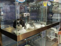 -FAELING PETS美天灵宠物(富力广场店)