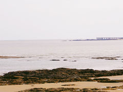 -刘家湾赶海园