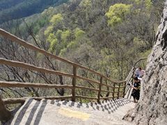 -天女山森林公园