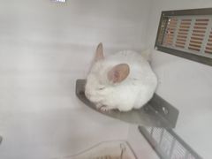 -三旗百汇商品城