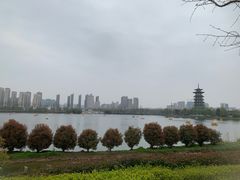 -洋湖国家湿地公园