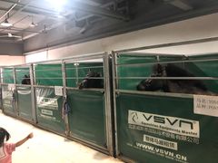 -李振强马术运动推广中心(南城店)