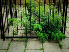 -青岛德国监狱旧址博物馆