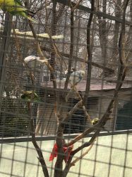 -萌宠亲子动物乐园(槐房万达店)