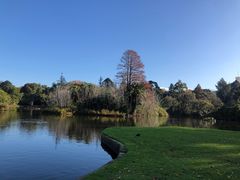 -墨尔本皇家植物园