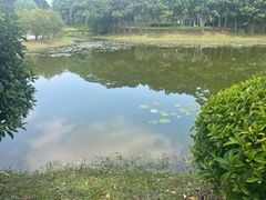 -东莞植物园