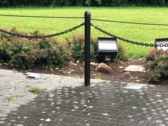 -华盛顿杜勒斯国际机场