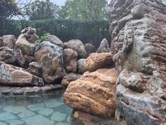 -龙佳生态温泉山庄