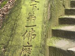 -大金鹰园