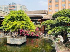 -猪肉婆私房菜(容桂总店)
