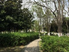 -白塘生态植物园