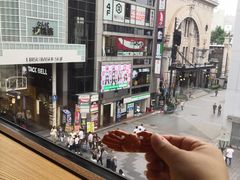 -蟹道乐(道顿堀本店)