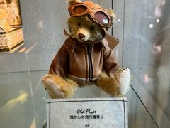 -伊豆泰迪熊博物馆
