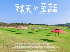 -南京枫彩漫城